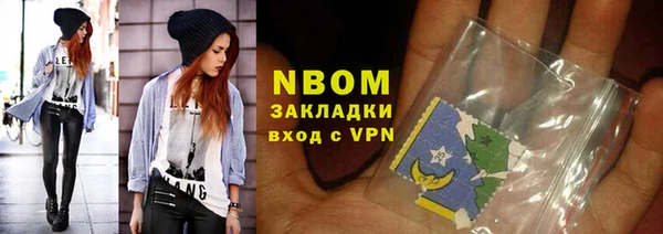 индика Алексин