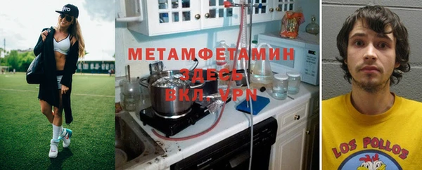 индика Алексин