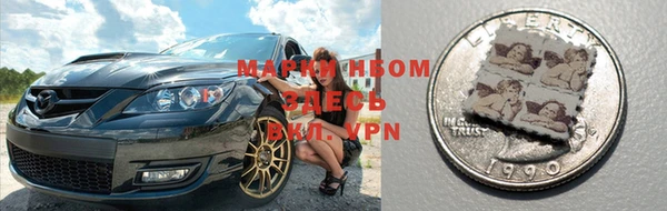 индика Алексин