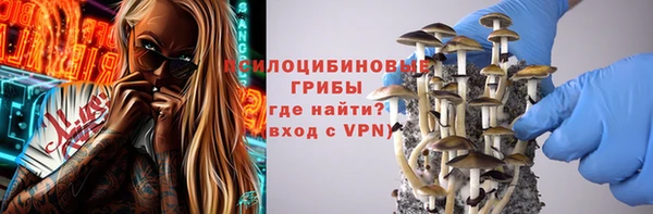 индика Алексин