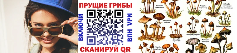 KRAKEN маркетплейс  Микунь  Псилоцибиновые грибы ЛСД 